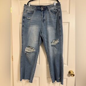 Judy Blue Women’s Distressed Straight Leg Jeans Size 18W Raw Hem